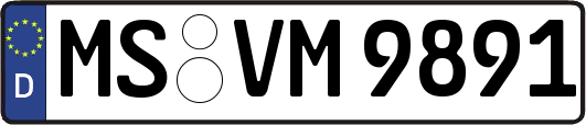 MS-VM9891