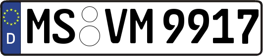 MS-VM9917