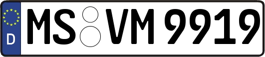 MS-VM9919