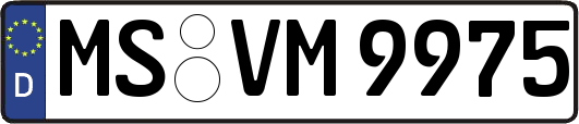 MS-VM9975