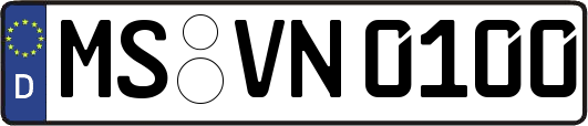 MS-VN0100