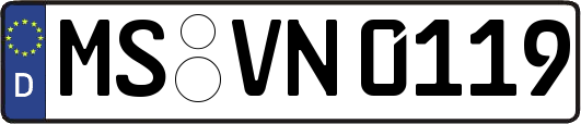 MS-VN0119