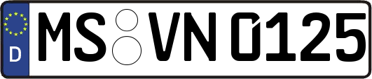 MS-VN0125