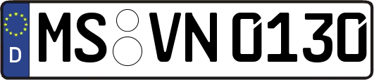 MS-VN0130