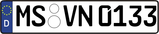 MS-VN0133