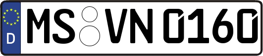 MS-VN0160