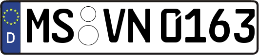 MS-VN0163