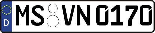 MS-VN0170