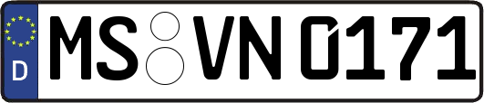 MS-VN0171
