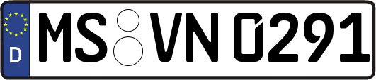 MS-VN0291