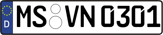 MS-VN0301