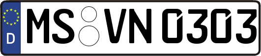 MS-VN0303