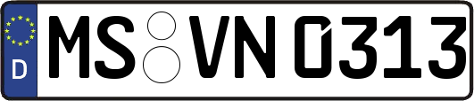 MS-VN0313