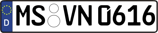 MS-VN0616