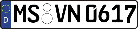 MS-VN0617
