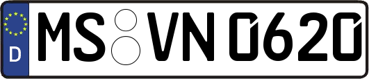 MS-VN0620