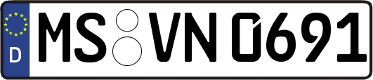 MS-VN0691