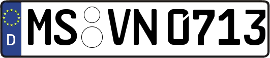 MS-VN0713