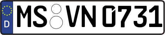 MS-VN0731