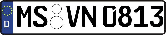 MS-VN0813