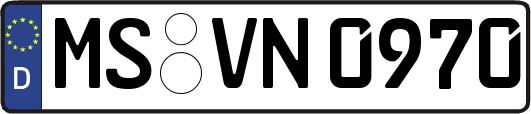 MS-VN0970