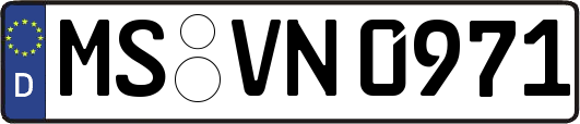 MS-VN0971