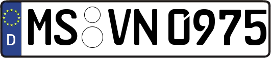 MS-VN0975
