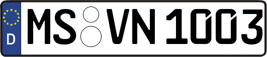 MS-VN1003