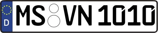 MS-VN1010