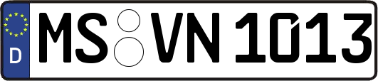 MS-VN1013