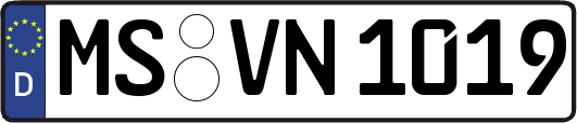 MS-VN1019