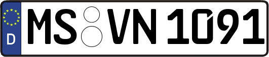 MS-VN1091