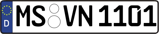 MS-VN1101