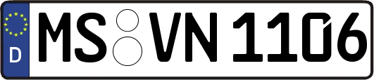 MS-VN1106