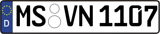 MS-VN1107