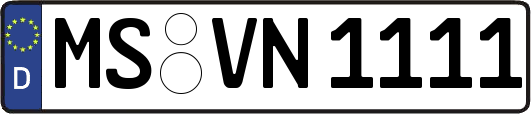 MS-VN1111