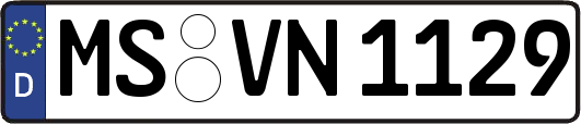 MS-VN1129
