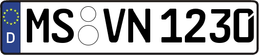 MS-VN1230