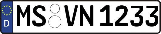 MS-VN1233