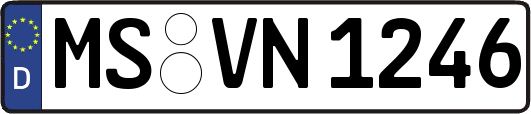 MS-VN1246