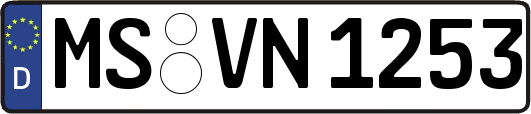 MS-VN1253