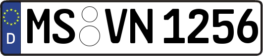 MS-VN1256