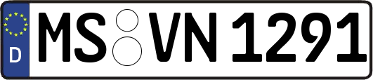 MS-VN1291