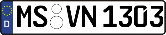 MS-VN1303