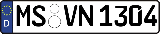 MS-VN1304