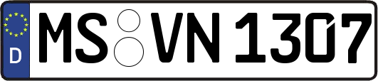 MS-VN1307