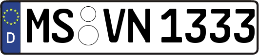MS-VN1333
