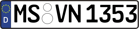 MS-VN1353