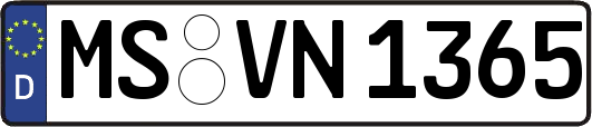 MS-VN1365