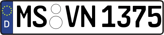 MS-VN1375